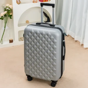 valise de voyage à roulettes élégante